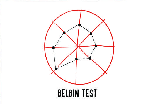 Belbin testen