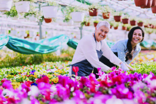 Marketing communicatie advies voor familiebedrijven